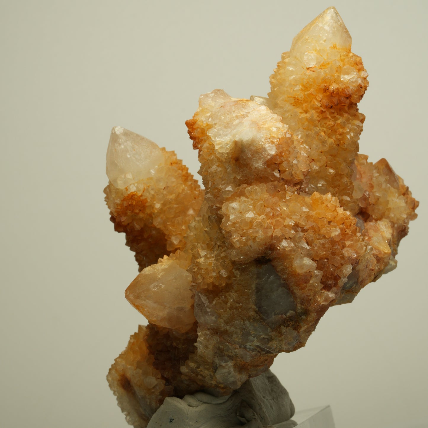 Seltene Kaktus Quarz, Spirit Quarz Stufe Boekenhouthoek, Südafrika 84*71*64mm #13964