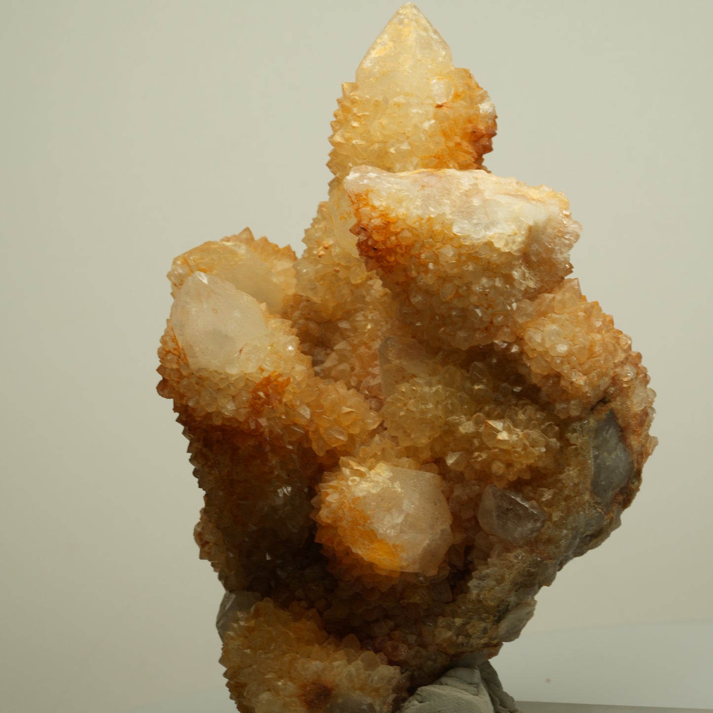 Seltene Kaktus Quarz, Spirit Quarz Stufe Boekenhouthoek, Südafrika 84*71*64mm #13964