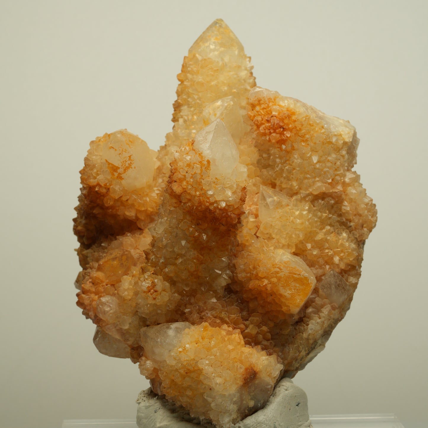 Seltene Kaktus Quarz, Spirit Quarz Stufe Boekenhouthoek, Südafrika 84*71*64mm #13964