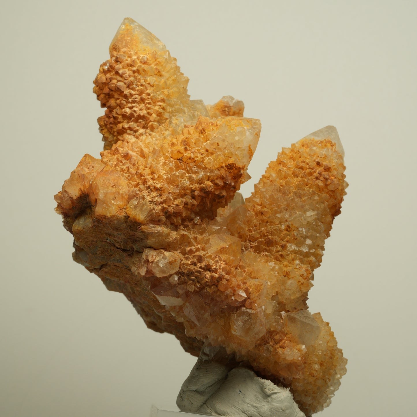 Seltene Kaktus Quarz, Spirit Quarz Stufe Boekenhouthoek, Südafrika 84*71*64mm #13964