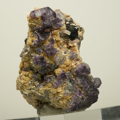 Phantom Fluorit, Schörl Turmalin, Hyalit, Rauchquarz, Muskovit Erongo, Namibia 78*52*52mm #13967