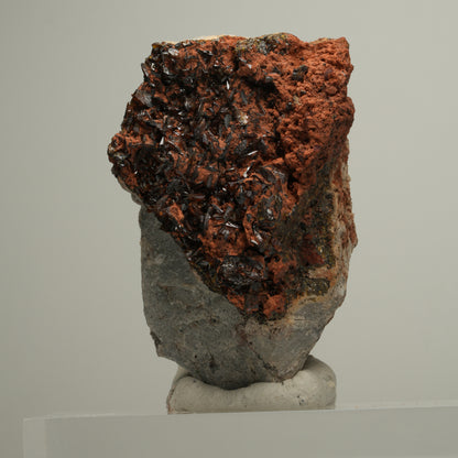Seltene Andradit, Granat Stufe, braun schwarz Erongo, Namibia 65*42*36mm #13978