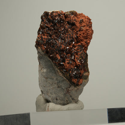 Seltene Andradit, Granat Stufe, braun schwarz Erongo, Namibia 65*42*36mm #13978