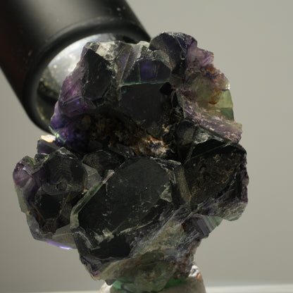Seltene Phantom Fluorit Würfel Stufe, grün lila blau Okorusu, Namibia 49*47*45mm #13982