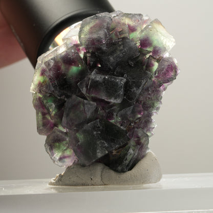 Seltene Phantom Fluorit Würfel Stufe, grün lila Okorusu, Namibia 50*40*17mm #13991