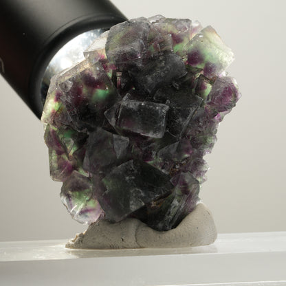 Seltene Phantom Fluorit Würfel Stufe, grün lila Okorusu, Namibia 50*40*17mm #13991
