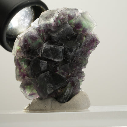 Seltene Phantom Fluorit Würfel Stufe, grün lila Okorusu, Namibia 50*40*17mm #13991
