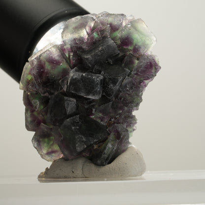 Seltene Phantom Fluorit Würfel Stufe, grün lila Okorusu, Namibia 50*40*17mm #13991