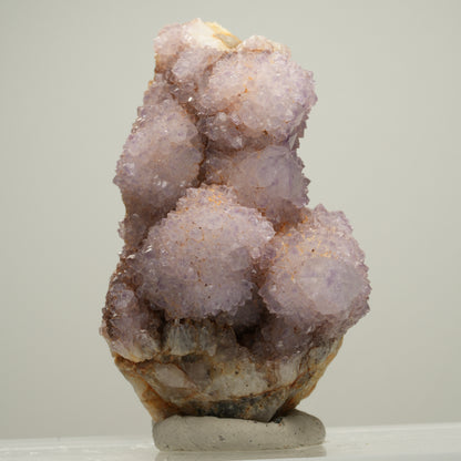 Seltene Kaktus Amethyst, Spirit Quarz Stufe, lila Boekenhouthoek, Südafrika 61*39*34mm #13999