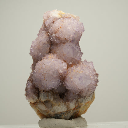 Seltene Kaktus Amethyst, Spirit Quarz Stufe, lila Boekenhouthoek, Südafrika 61*39*34mm #13999