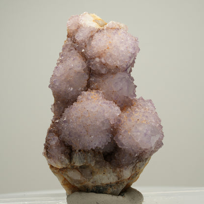 Seltene Kaktus Amethyst, Spirit Quarz Stufe, lila Boekenhouthoek, Südafrika 61*39*34mm #13999