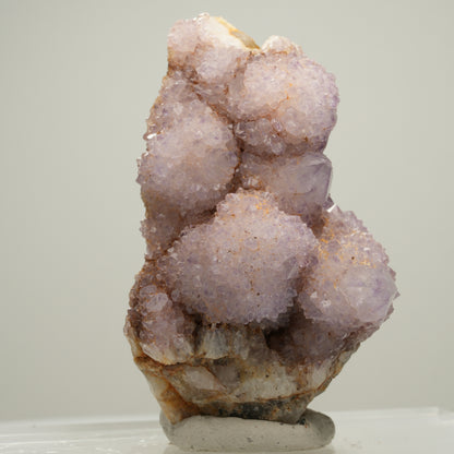 Seltene Kaktus Amethyst, Spirit Quarz Stufe, lila Boekenhouthoek, Südafrika 61*39*34mm #13999