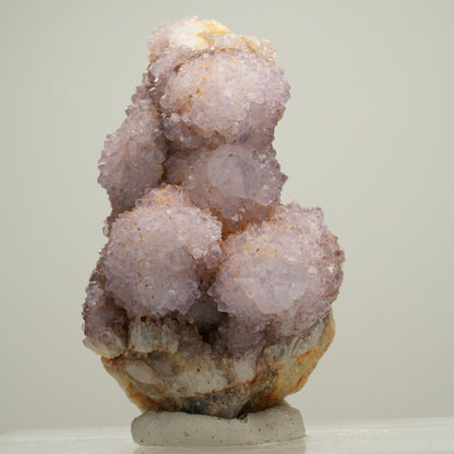 Seltene Kaktus Amethyst, Spirit Quarz Stufe, lila Boekenhouthoek, Südafrika 61*39*34mm #13999