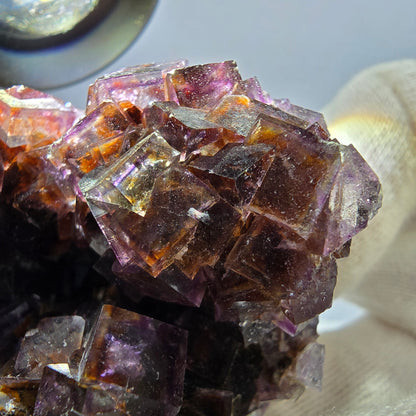 Rare spécimen de cube de fluorite fantôme, violet jaune Okorusu Namibie 63*59*34mm 