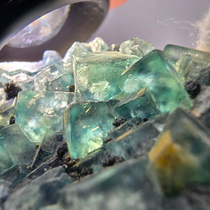 Cubes rares de fluorite fantôme zonale, vert violet, Erongo, Namibie 74 x 41 x 9 mm 