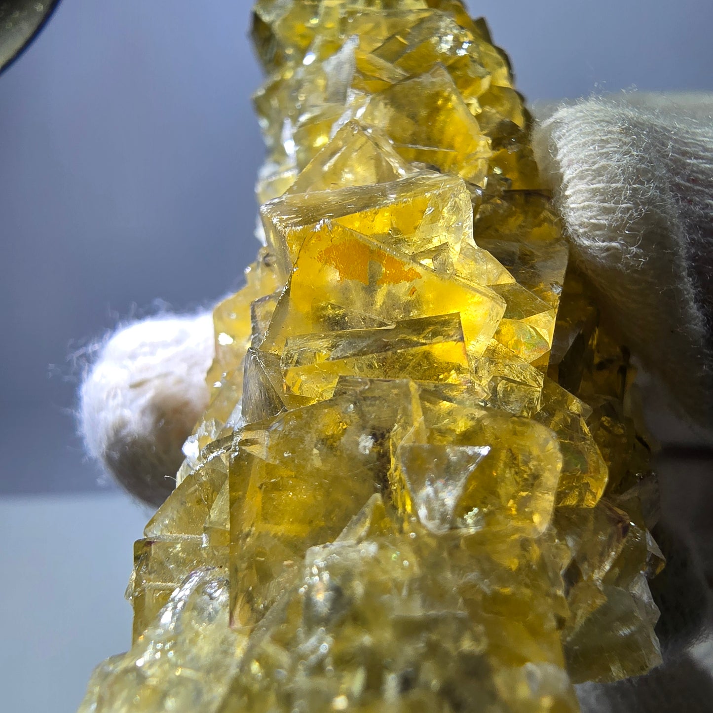 Grand spécimen de cube de fluorite fantôme, poche jaune miel, Okorusu, Namibie, 101 x 30 x 34 mm 