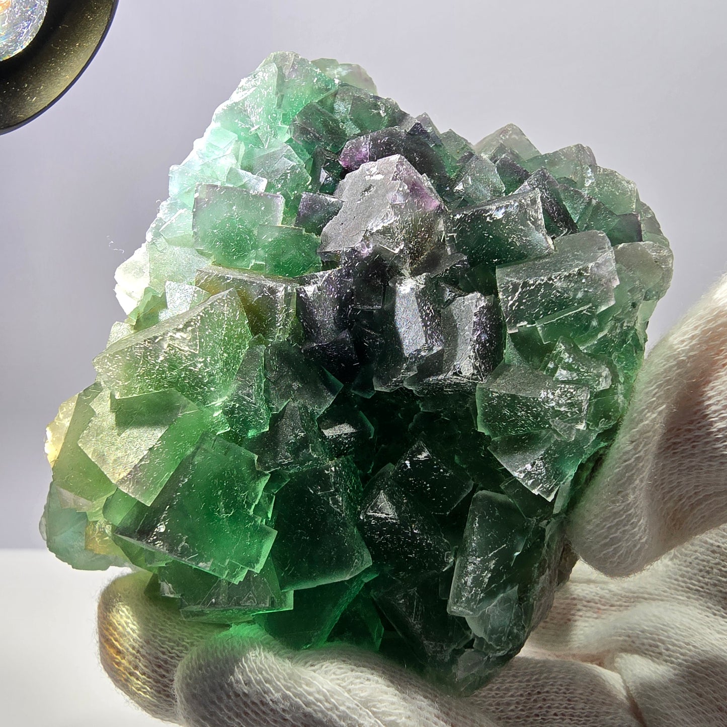 Grand spécimen de cube de fluorite fantôme, parqueté, double face Okorusu, Namibie 98*91*71mm 