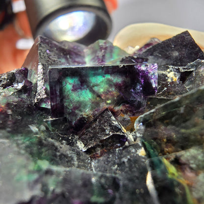 Rare spécimen de cube de fluorite fantôme, vert-violet, Okorusu, Namibie, 58 x 48 x 19 mm 