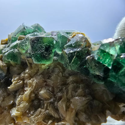 Cube de fluorite fantôme zonal, spécimen de muscovite, Erongo, Namibie, 75 x 49 x 41 mm 