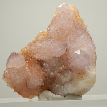 Seltene Kaktus Amethyst, Spirit Quarz Stufe, lila Boekenhouthoek, Südafrika 56*54*40mm #14000