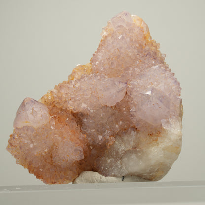 Seltene Kaktus Amethyst, Spirit Quarz Stufe, lila Boekenhouthoek, Südafrika 56*54*40mm #14000