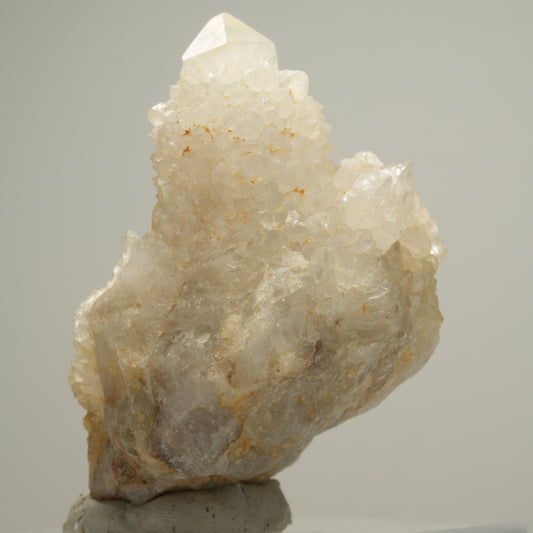 Seltene Kaktus Quarz, Spirit Quarz Stufe Boekenhouthoek, Südafrika 58*53*39mm #14001