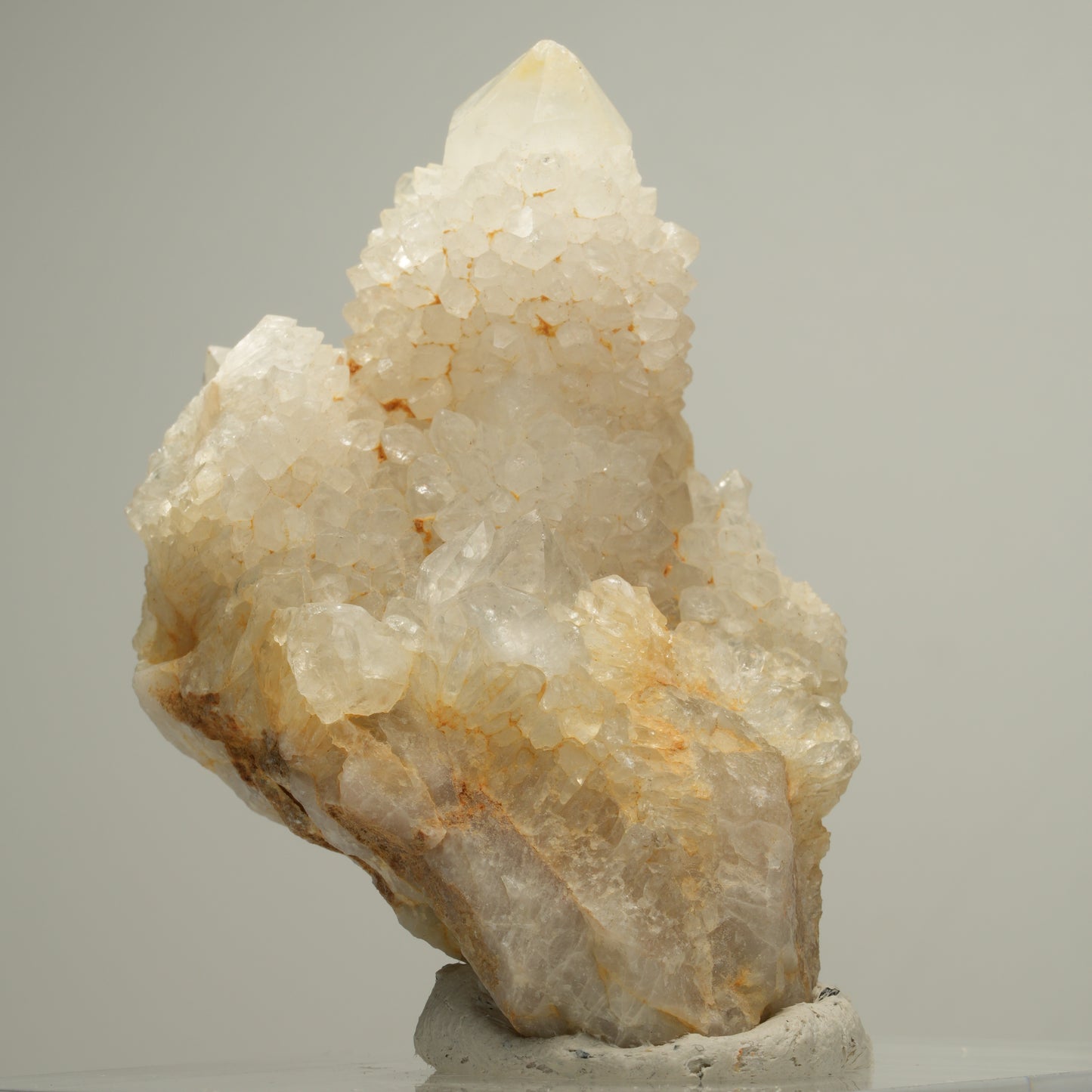 Seltene Kaktus Quarz, Spirit Quarz Stufe Boekenhouthoek, Südafrika 58*53*39mm #14001