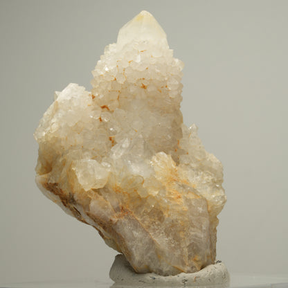 Seltene Kaktus Quarz, Spirit Quarz Stufe Boekenhouthoek, Südafrika 58*53*39mm #14001