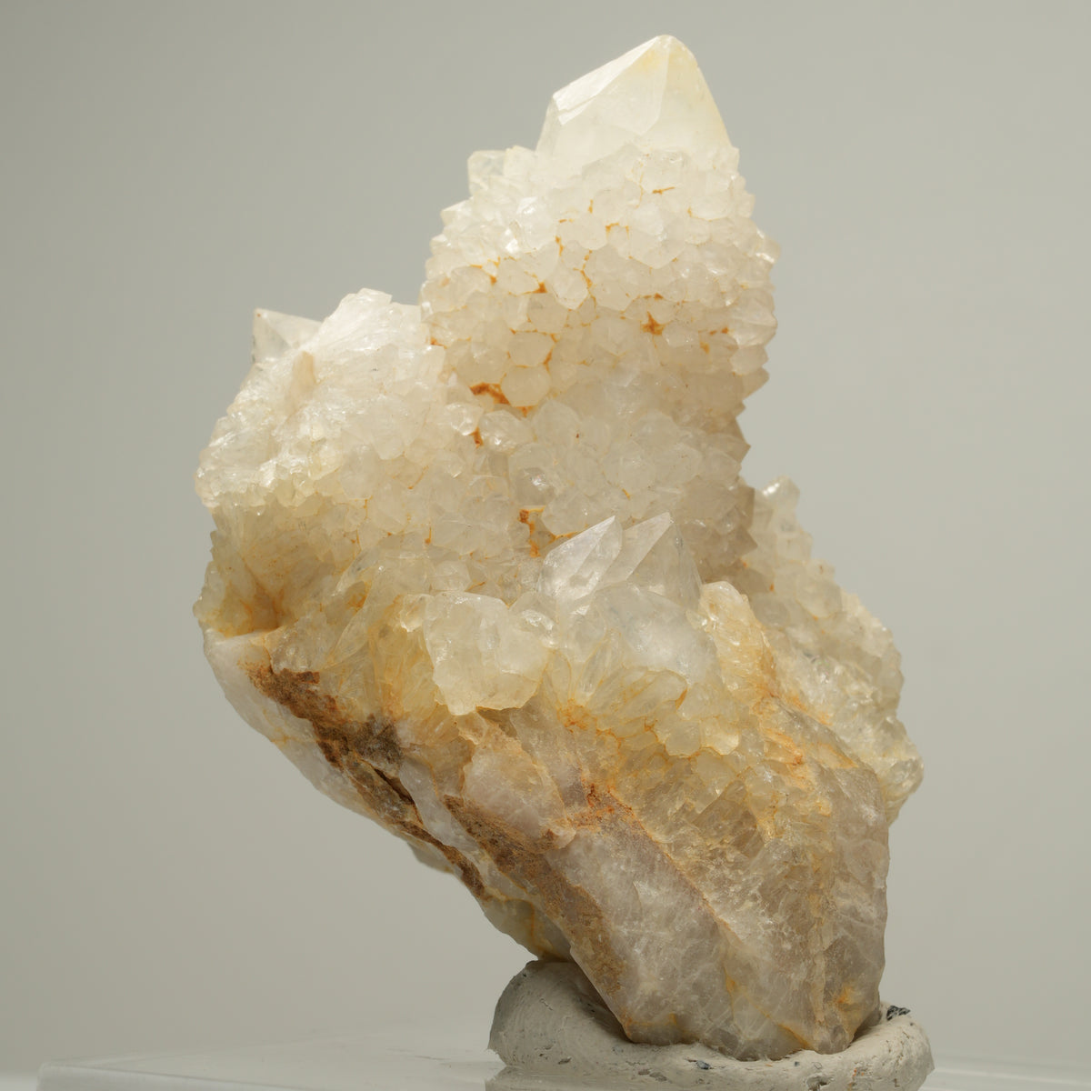 Seltene Kaktus Quarz, Spirit Quarz Stufe Boekenhouthoek, Südafrika 58*53*39mm #14001