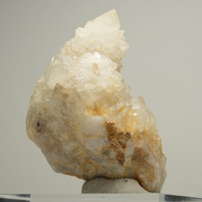 Seltene Kaktus Quarz, Spirit Quarz Stufe Boekenhouthoek, Südafrika 58*53*39mm #14001
