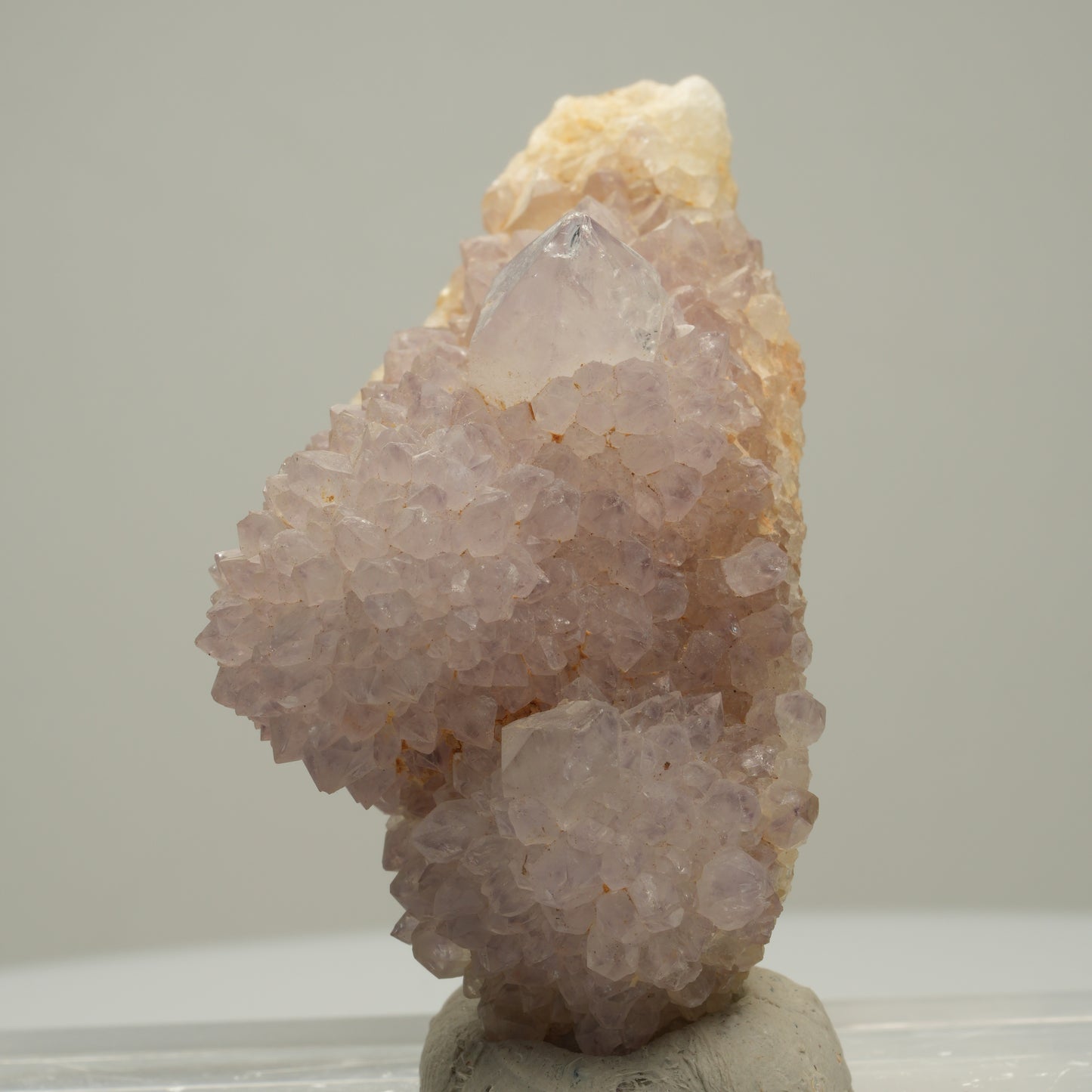 Seltene Kaktus Amethyst, Spirit Quarz Stufe, lila Boekenhouthoek, Südafrika 59*29*36mm #14002