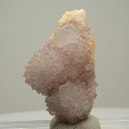 Seltene Kaktus Amethyst, Spirit Quarz Stufe, lila Boekenhouthoek, Südafrika 59*29*36mm #14002