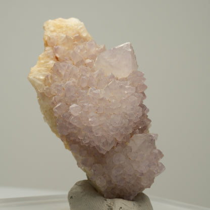 Seltene Kaktus Amethyst, Spirit Quarz Stufe, lila Boekenhouthoek, Südafrika 59*29*36mm #14002