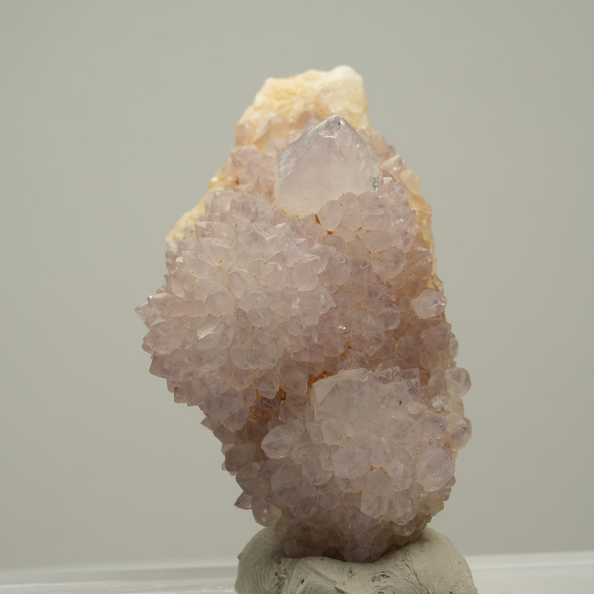 Seltene Kaktus Amethyst, Spirit Quarz Stufe, lila Boekenhouthoek, Südafrika 59*29*36mm #14002