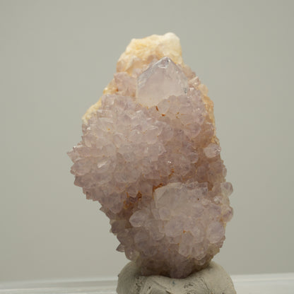 Seltene Kaktus Amethyst, Spirit Quarz Stufe, lila Boekenhouthoek, Südafrika 59*29*36mm #14002
