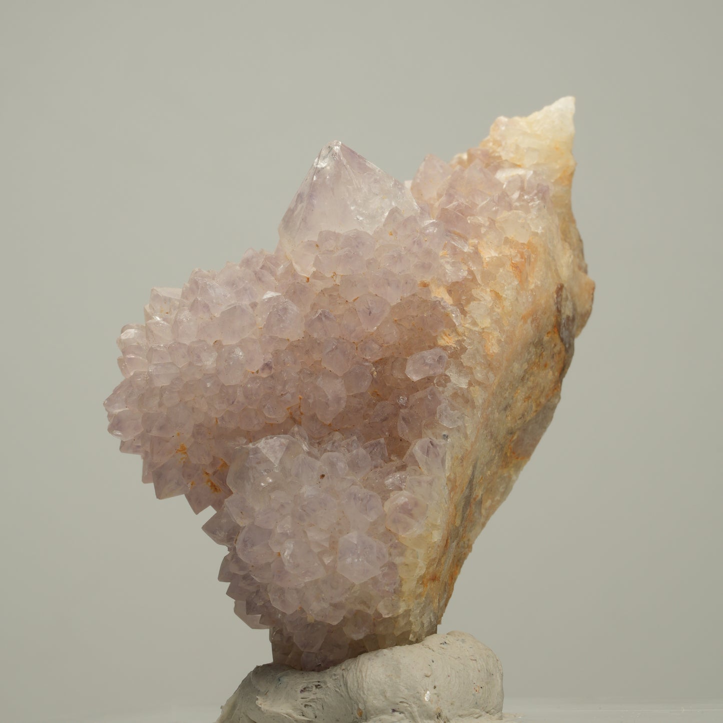 Seltene Kaktus Amethyst, Spirit Quarz Stufe, lila Boekenhouthoek, Südafrika 59*29*36mm #14002