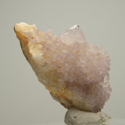 Seltene Kaktus Amethyst, Spirit Quarz Stufe, lila Boekenhouthoek, Südafrika 59*29*36mm #14002