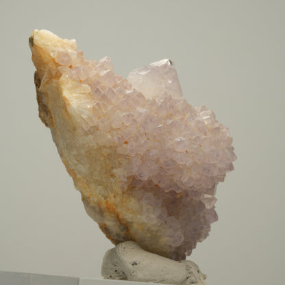 Seltene Kaktus Amethyst, Spirit Quarz Stufe, lila Boekenhouthoek, Südafrika 59*29*36mm #14002