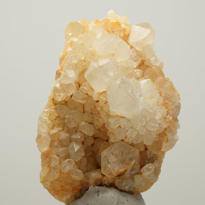 Seltene Kaktus Quarz, Spirit Quarz Stufe Boekenhouthoek, Südafrika 60*39*29mm #14003