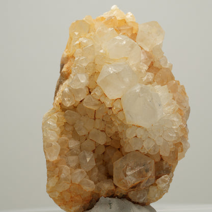 Seltene Kaktus Quarz, Spirit Quarz Stufe Boekenhouthoek, Südafrika 60*39*29mm #14003