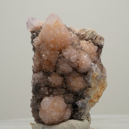 Seltene Kaktus Amethyst, Spirit Quarz Stufe, lila Boekenhouthoek, Südafrika 52*32*39mm #14004