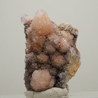 Seltene Kaktus Amethyst, Spirit Quarz Stufe, lila Boekenhouthoek, Südafrika 52*32*39mm #14004
