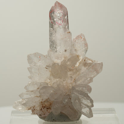 Enhydro Phantom Rauchquarz Skelett Spitzen, 1x Blase Goboboseb, Namibia 55*41*21mm #14034