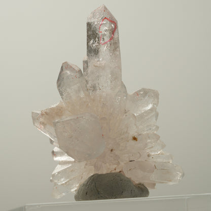 Enhydro Phantom Rauchquarz Skelett Spitzen, 1x Blase Goboboseb, Namibia 55*41*21mm #14034