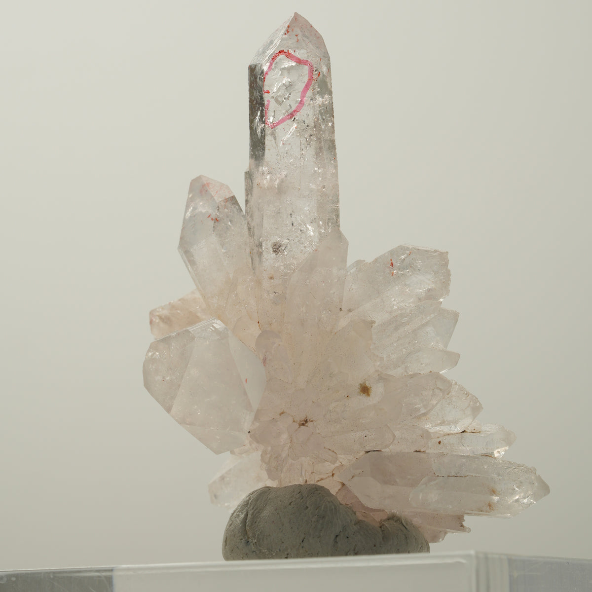 Enhydro Phantom Rauchquarz Skelett Spitzen, 1x Blase Goboboseb, Namibia 55*41*21mm #14034