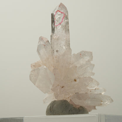 Enhydro Phantom Rauchquarz Skelett Spitzen, 1x Blase Goboboseb, Namibia 55*41*21mm #14034