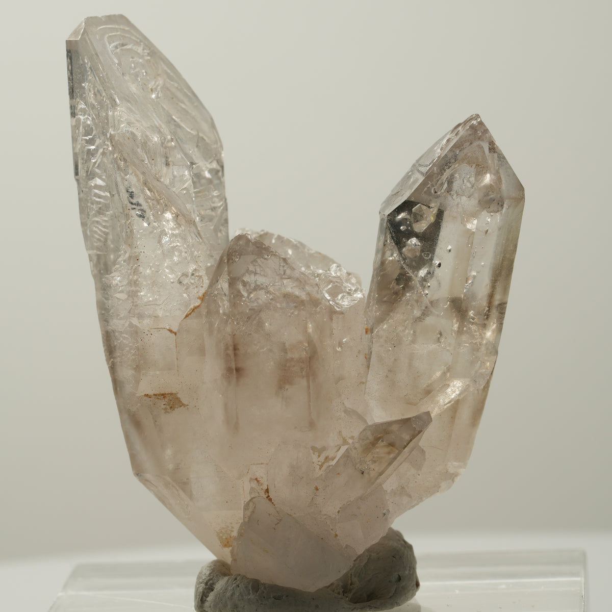 Skelett Phantom Rauchquarz Gruppe Goboboseb, Namibia 55*40*24mm #14035