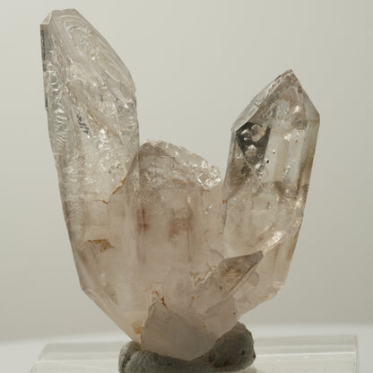 Skelett Phantom Rauchquarz Gruppe Goboboseb, Namibia 55*40*24mm #14035