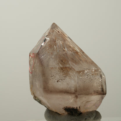 Enhydro Skelett Fenster Phantom Rauchquarz Zepter, 2x Blase Goboboseb, Namibia 41*33*28mm #14037