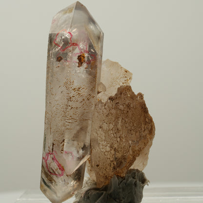 Enhydro Phantom Rauchquarz Skelett Doppelender, 6x Blase Goboboseb, Namibia 52*27*27mm #14038